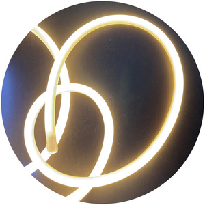 Ngoài trời không thấm nước IP67 1m cuttable cảnh quan 100m CuộN 360 độ hình tròn AC 220V LED Neon Ánh sáng dây thừng - Product Image 3