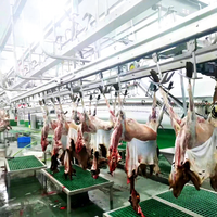 Équipement d'abattoir de moutons de 3000 têtes Ligne d'abattage d'agneau pour abattoir