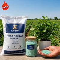 Sulfato Ferroso Heptahidratado FeSO4 7H2O 98% Producto Químico para Tratamiento de Agua