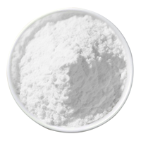 OEM Alpha Galactosidase Solutions | Customized Plant Protein Tech
