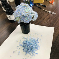 Bunga padat menyerap warna pola bunga kecil DIY bahan seni bunga bahan seni kuku dekorasi Resin