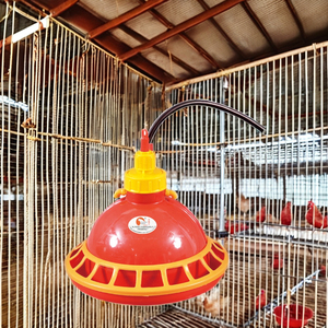 Abreuvoir et mangeoire automatique avec cloche et système d'alimentation Nouveau bébé abreuvoir et mangeoire pour poulets - Product Image 1