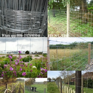 Bovines Hàng Rào/Dây Leo Hàng Rào/C80-80-15 Cổ Phiếu Phổ Biến Nhất Lưới/Dê Hàng Rào - Product Image 5