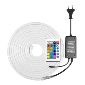 16.4FT/5M A MENÉ LA Corde Au Néon Tube Lumière 9*18mm SMD RVB LED Néon Flexible 110V 220V IP67 Étanche avec Télécommande et Adaptateur