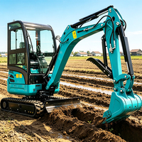 Mini-excavatrice hydraulique compacte, livraison gratuite, CE Euro 5, pour projets agricoles, de jardinage et de construction