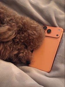 Reuniones de Negocios, Clases en Línea y Aventuras al Aire Libre para el 17 Pro Max - Pantalla OLED de 6.9 Pulgadas, 5G, Resistente al Agua, Rendimiento Robusto - Product Image 5