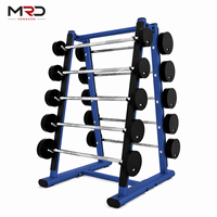 Support de Rangement Commercial pour Barres de Musculation, Type A, 10 Barres, Fixe, Sûr, Stable et Durable, pour Salle de Sport et Club de Fitness
