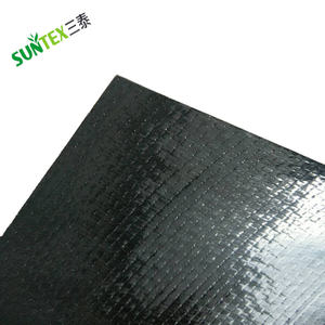 แผ่นยาง HDPE สำหรับ<span class=keywords><strong>บ่อ</strong></span> ป้องกันน้ำรั่วซึม แบบยืดหยุ่น ตัดสำเร็จรูป สำหรับสวนน้ำ <span class=keywords><strong>บ่อ</strong></span><span class=keywords><strong>ปลา</strong></span>คาร์<span class=keywords><strong>ฟ</strong></span> ลำธาร - Product Image 4