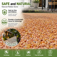Pavé en pierre naturelle polie TaoZhou, écologique, durable, non toxique, pour allée de jardin extérieure, revêtement de sol en résine.