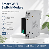 Disjoncteur miniature intelligent WiFi Tuya 1P 63A avec protection contre les surcharges et les courts-circuits, montage sur rail DIN