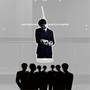 Idol KPOP DESIREUNLEASH <span class=keywords><strong>NIKI</strong></span> JAKE JAY Jungwon Sunoo Sunghoon Heeseung Standee en plastique transparent acrylique, taille personnalisée, CMYK - Product Image 5