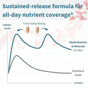 Natuurlijk Multivitamine Mineraal Complex voor Mannen, Langzaam Afgebouwd Formule, GMP Gecertificeerd - Product Image 4