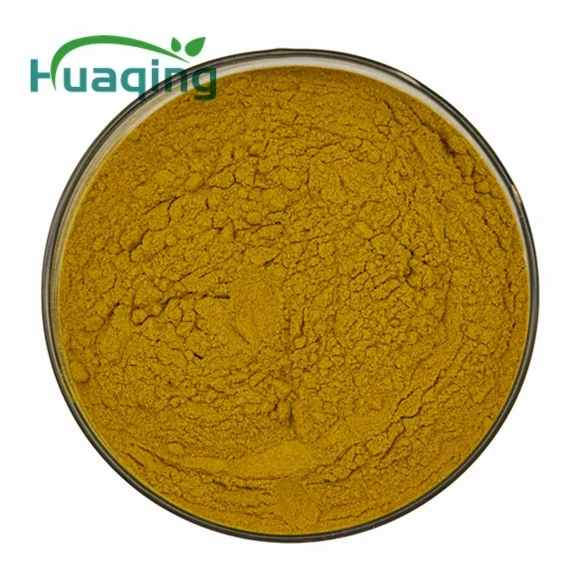 Free shipping high quality coptis chinensis extract powder 20:1 in bulk