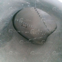 Nouvelle arrivée : machine à râper le gingembre, moulin et extracteur de gingembre, machine à jus de gingembre