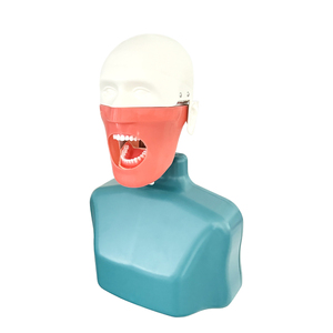 YOUYA DENTAL MX-108 Modèle de tête et de corps de mannequin pour la formation dentaire, équipement de pratique pour l'enseignement en dentisterie - Product Image 2
