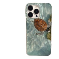 Coque de téléphone tendance INS avec paysage marin pour iPhone 18 17 16 15 Pro Max 14 13 12, coque arrière IMD brillante en fil plume
