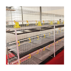 Jaula para Gallinas Ponedoras para Granja Avícola en Tanzania, Jaula de 3 Niveles y 2 Puertas para 72 Pollos - Product Image 4