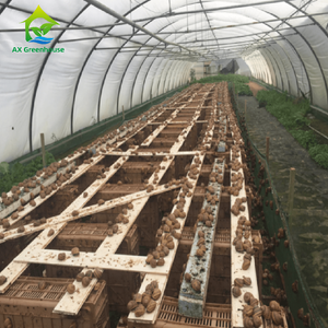 Estructura de Invernadero de Alta Calidad para Cultivo de Caracoles con Sistema Hidropónico, Venta al Por Mayor Global - Product Image 4