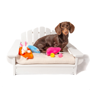 Cama <span class=keywords><strong>para</strong></span> perros elevada al aire libre <span class=keywords><strong>para</strong></span> lavar el sueño y la comodidad de la circulación de aire - Product Image 6