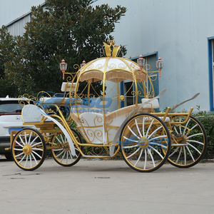 Carruaje de Calabaza Eléctrico de Lujo 2025 al por Mayor, de Alta Calidad, Blanco, Estilo Cenicienta, Cama de Princesa, para Bodas - Product Image 5