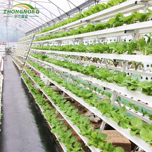 Grandes serres agricoles automatisées <span class=keywords><strong>en</strong></span> <span class=keywords><strong>verre</strong></span>, peu encombrantes, avec système de jardinage aéroponique rotatif <span class=keywords><strong>en</strong></span> tour et système hydroponique pour feuilles - Product Image 3