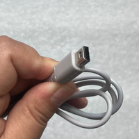 Cordon d'alimentation 4.75V 1.6A Adaptateur secteur et câble compatible pour manette Nintendo WiiU (adaptateur secteur)
