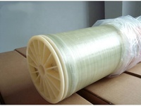 Membrane d'osmose inverse FR-4040 de 4 pouces moins chère, membrane d'osmose inverse à économie d'énergie, filtre 4040RO