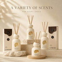 Diffuseur de parfum personnalisé de 120 ml avec boîte cadeau, 4 options de parfum, diffuseur d'arômes pour la décoration de la maison, senteurs mélangées et étiquette privée OEM