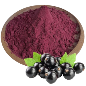 Harga Grosir Bubuk Ekstrak <span class=keywords><strong>Blackcurrant</strong></span> Murni <span class=keywords><strong>Anthocyanin</strong></span> Ekstrak Black Currant 5%-25% Bubuk <span class=keywords><strong>Anthocyanin</strong></span> - Product Image 5