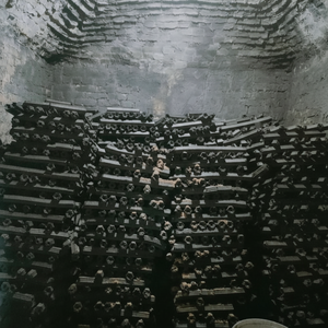 Carbón de aserrín comprimido para uso en barbacoas y restaurantes - Product Image 1