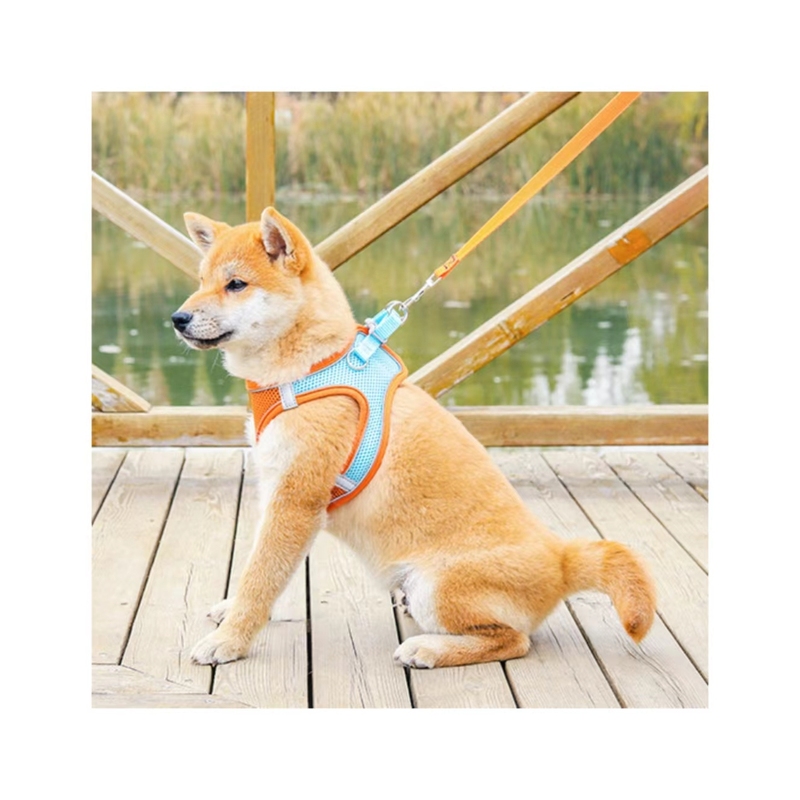 Pet Kitten Puppy Dog Harness and