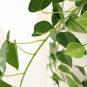 Hua Qianyun Artificial Green Ivy Vine 100cm-200cm Indoor <b>Wall</b> Hanging Plant <b>Decoration</b> Eco-Friendly Plastic Silk Flower - Product Image 4