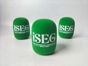 Flocked <b>Microphones</b> Foam With Customized logo Triangle Square Shape Sponge Flocking Logos Customizing Printing - Product Image 5