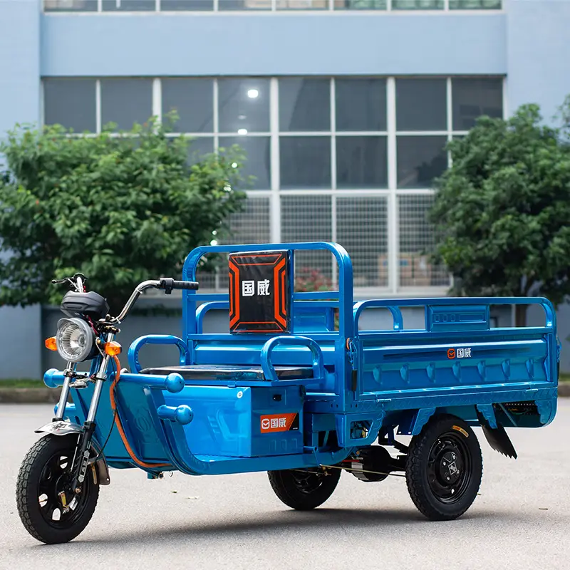 Triciclo de carga motorizado Camión de carga pesada 200cc/250cc/300cc Motor