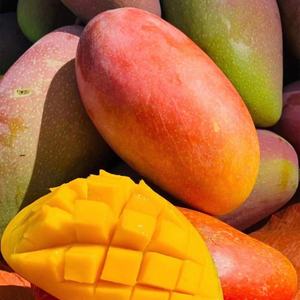 สารสกัดจากเปลือกมะม่วงป่าอัลฟา-มังคุด - Product Image 2