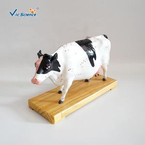 एक्यूपंक्चर मुक्त गाय जानवर शरीर रचना मॉडल के साथ 3 डी मॉडल पशु एक्यूपंक्चर मॉडल के साथ एक्यूपंक्चर मॉडल - Product Image 6