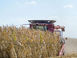 Cosechadora <span class=keywords><strong>de</strong></span> alimentación completa <span class=keywords><strong>de</strong></span> arroz <span class=keywords><strong>de</strong></span> cosecha pequeña 100HP GF38 con lista <span class=keywords><strong>de</strong></span> precios - Product Image 3