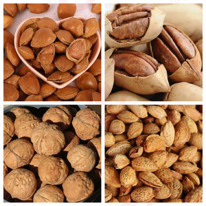 Máquina Descascaradora de Nueces de Nogal, Almendra y Avellana JUYOU, Gran Venta, Trituradora de Nueces de Macadamia - Product Image 6