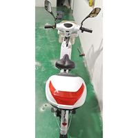 Vélo de plage 24 pouces vélo électrique adulte 800w 15Ah batterie au lithium-fer fourche avant à pression d'huile conduite en ville