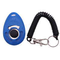 Porte-clés en acrylique arc-en-ciel avec impression UV, porte-clés à ressort coloré, compatible avec iPhone, matériau plastique