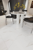 Ventes chaudes - Carrelage en marbre poli moderne 60x60 cm, style moderne et minimaliste pour salons