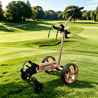 Chariot de golf pliable intelligent G1 avec télécommande et suivi automatique - Propulsion électrique, chariot de golf léger