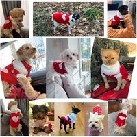Pull pour chien en forme de cœur de fraise OEM, tricot traditionnel, chaud printemps/automne, MOQ 200, couleur/logo personnalisé