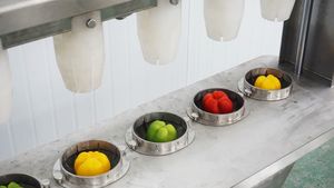 Machine automatique à prix d'usine pour retirer le cœur et couper les poivrons verts en bandes - Product Image 5