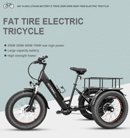 Tricycle électrique cargo à 3 roues, pneus larges de 20 pouces, 750W 500W, batterie lithium 48V, moyeu arrière, cadre en alliage d'aluminium, vente en gros