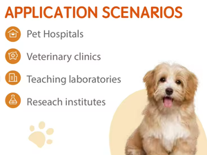 MX30V วิเคราะห์อัตโนมัติ3ส่วนเครื่องวิเคราะห์โลหิตวิทยาสัตวแพทย์ขนาดกะทัดรัดอุปกรณ์วิเคราะห์เลือดอุปกรณ์วินิจฉัยทางสัตวแพทย์ - Product Image 3