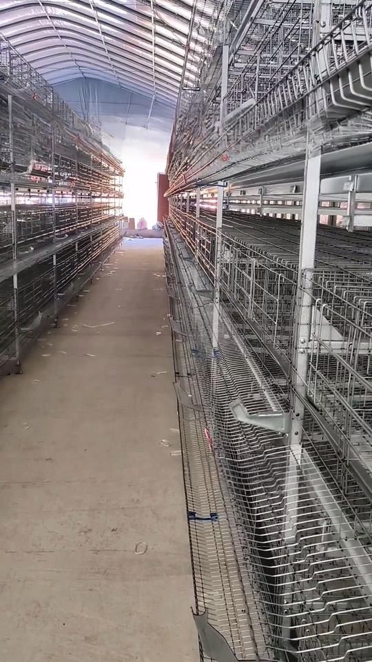 New Poultry Farm Layer Chicken Cage Battery H Cages 4 Tiers Zinc ...