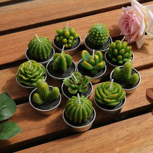 <span class=keywords><strong>Kit</strong></span> de bougies de plantes de Cactus succulentes décoratives, mignonnes bougies sans fumée, parfaites pour le Festival, les accessoires de mariage, la fête à la <span class=keywords><strong>maison</strong></span> - Product Image 1