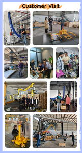 Braccio Robotico Dalmec Manipolatore Pneumatico Prodotto in Cina Vendita Diretta dalla Fabbrica - Product Image 5