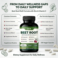 Complément Alimentaire OEM Multi-Formule de Racine de Betterave avec Zinc, Vitamine C, Grenade, Baies de sureau et Pépins de raisin – 120 Capsules Végétales